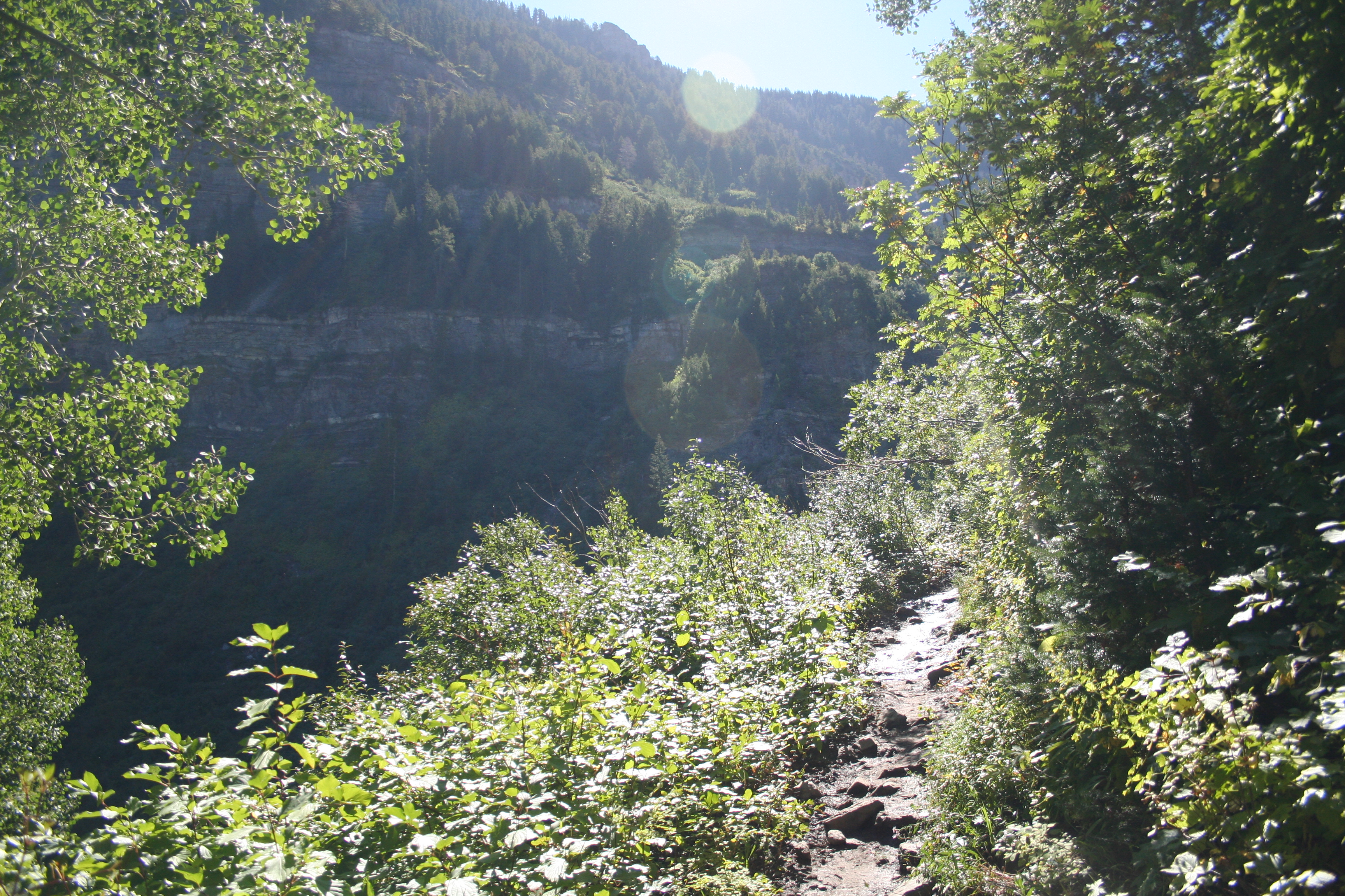 Scout Falls, American Fork Canyon, UT