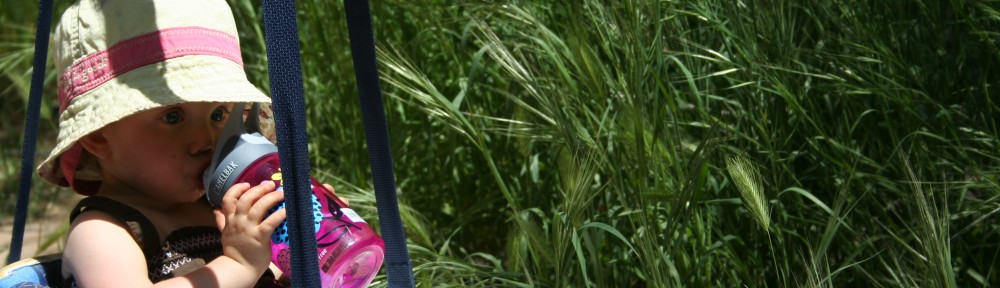 The Infamous Johnny Jump-up