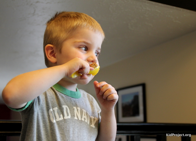 Chocolate Peanut Butter Bars