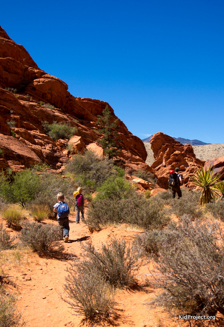"Are the rocks really red, mom?"