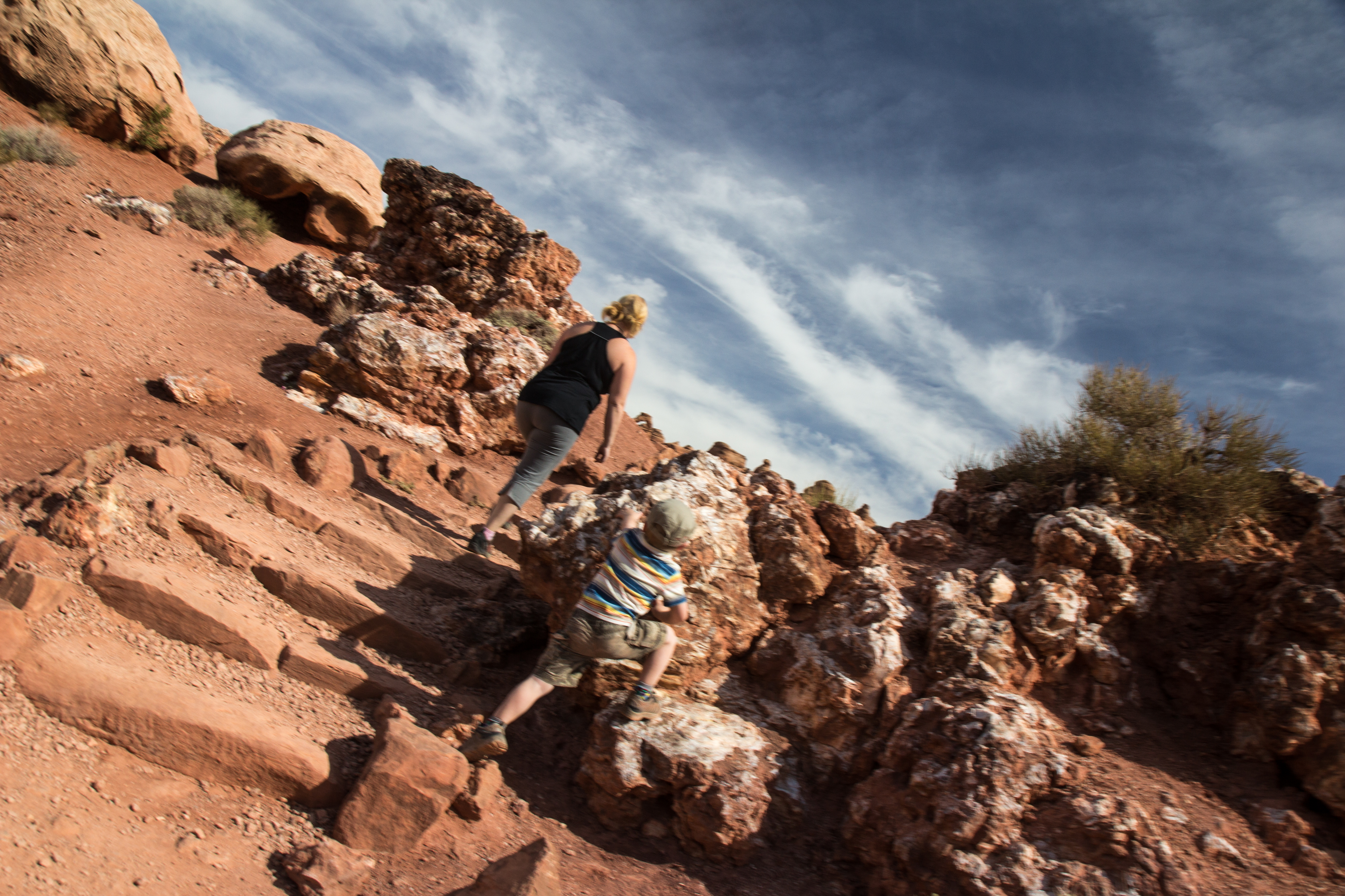 Newborn Chronicles [Our bodies, Our tools]