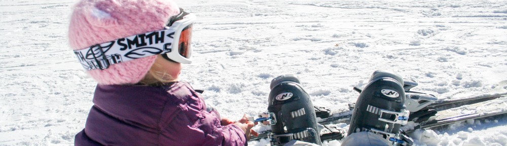 Media and Contributions