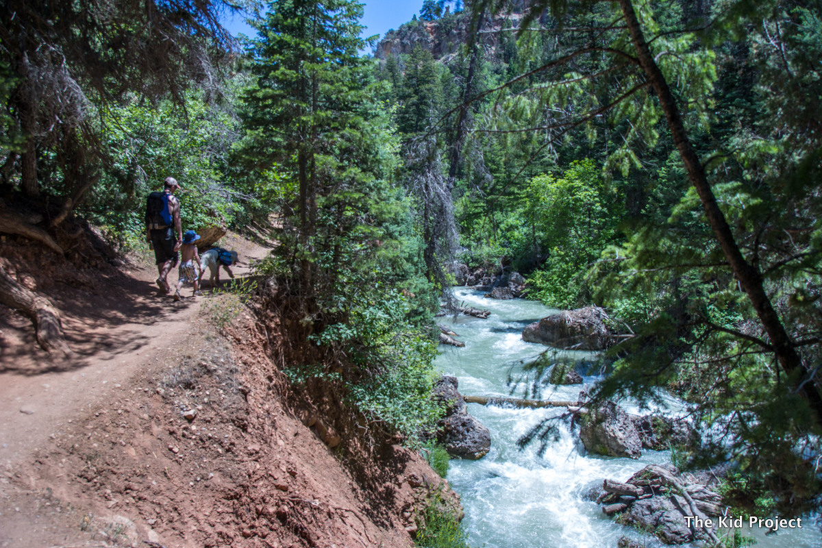 Five Family Friendly Hikes near Salt Lake, UT
