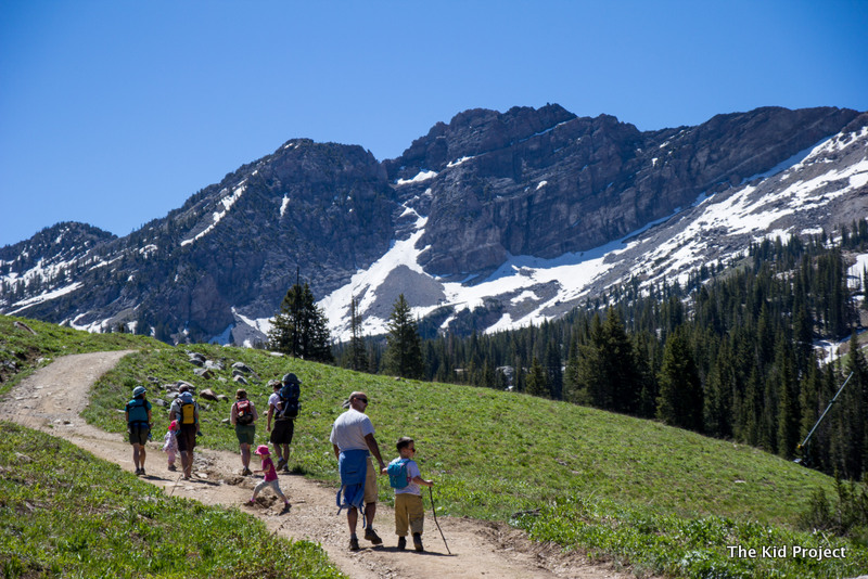 Hiking Albion Basin