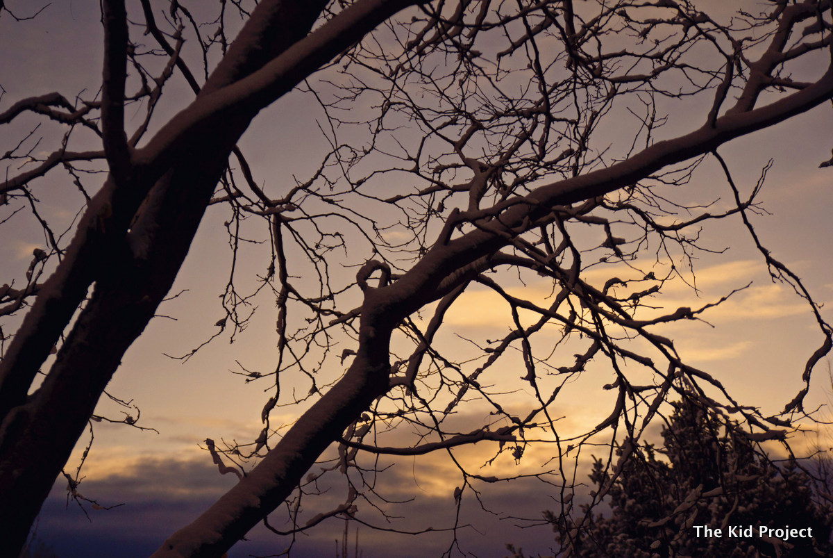 Let the rain come... (Mourning Newtown)