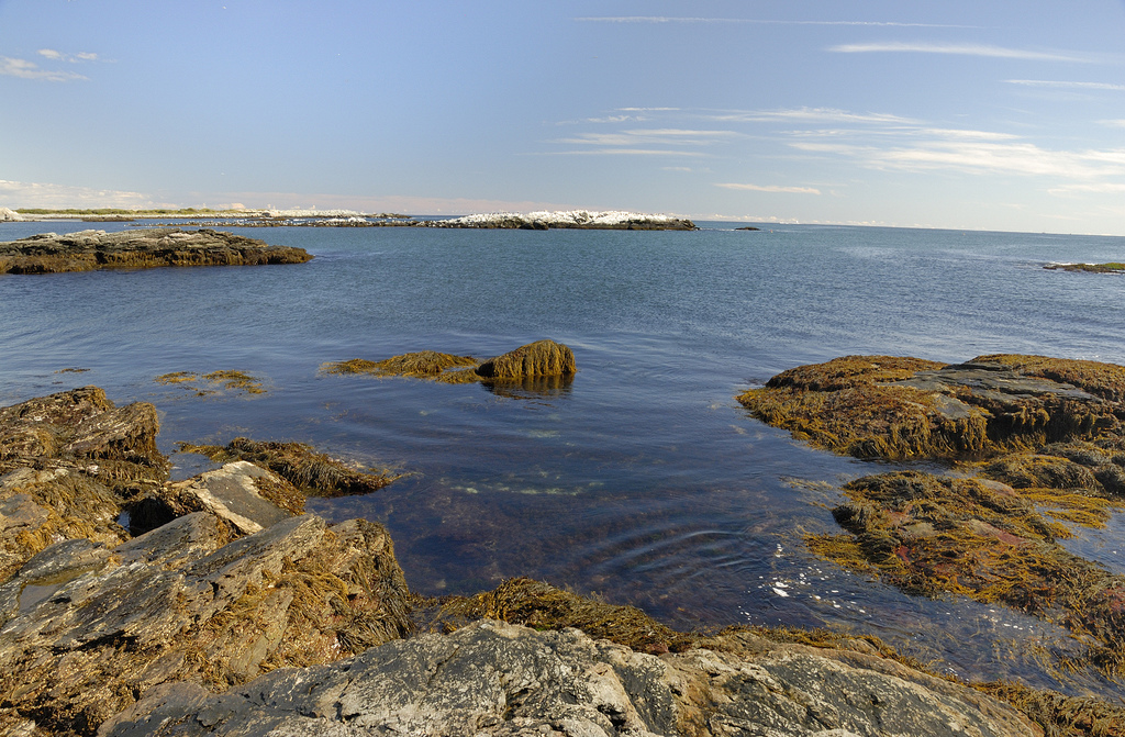 Great family trips through the northeast