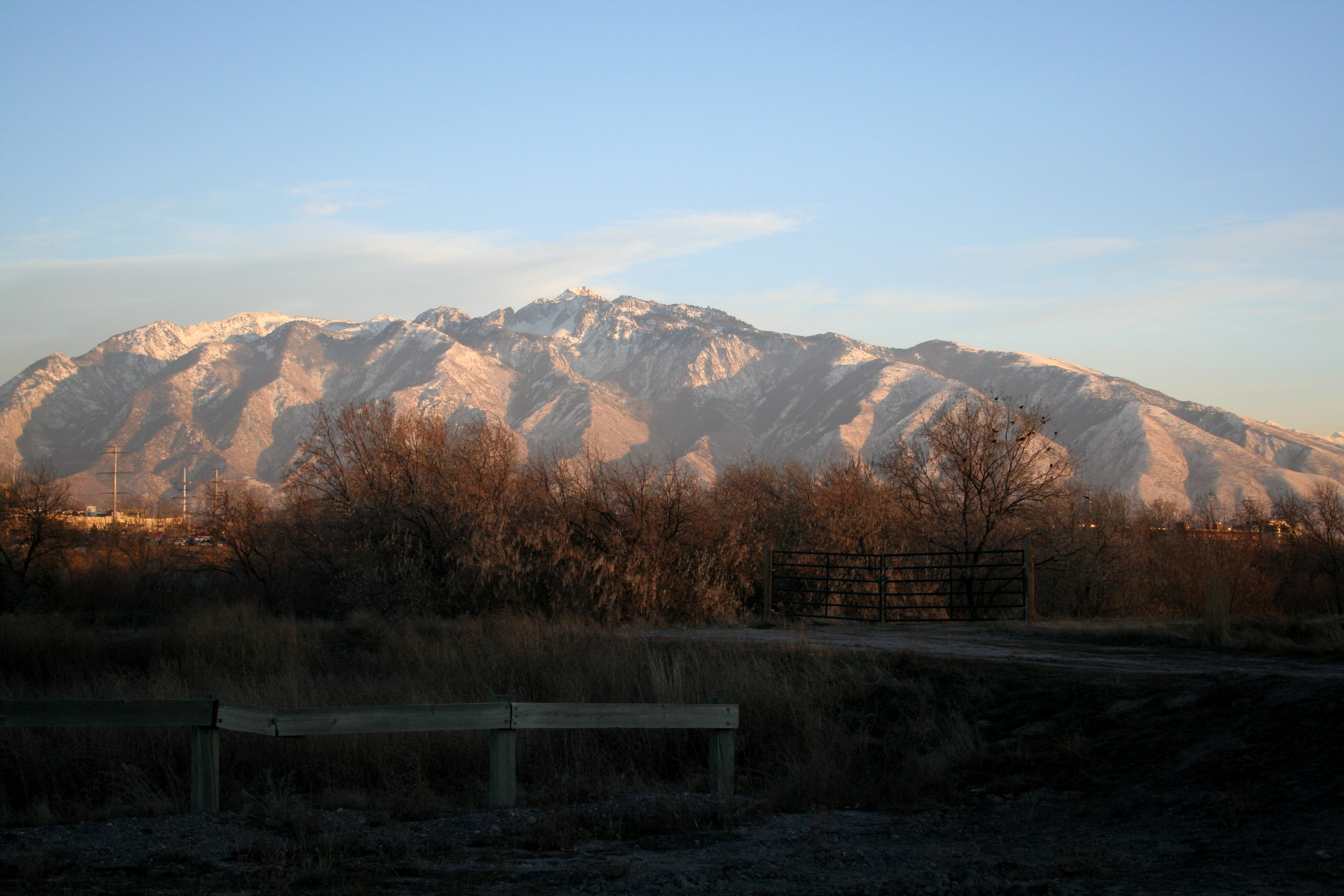 "Sharp knife of a short life..." [Tribute to Axel and the Charrette family]