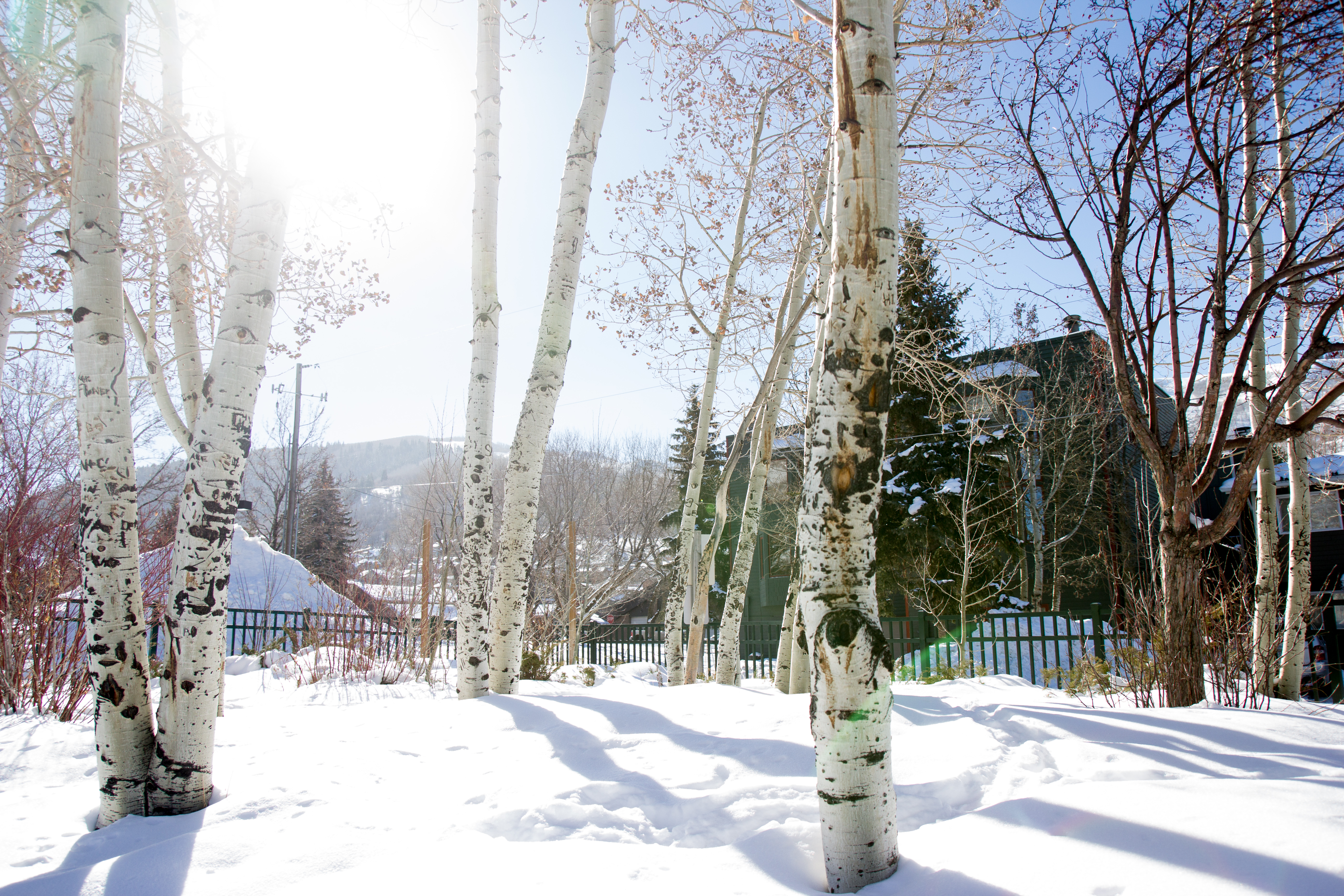 A day in the life of a skiing family...