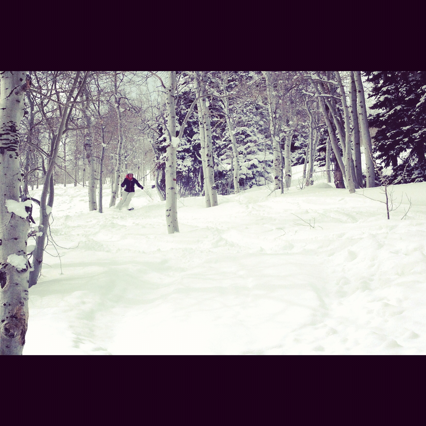 Faith, Purpose, and Slaying my "Sacred Cows"