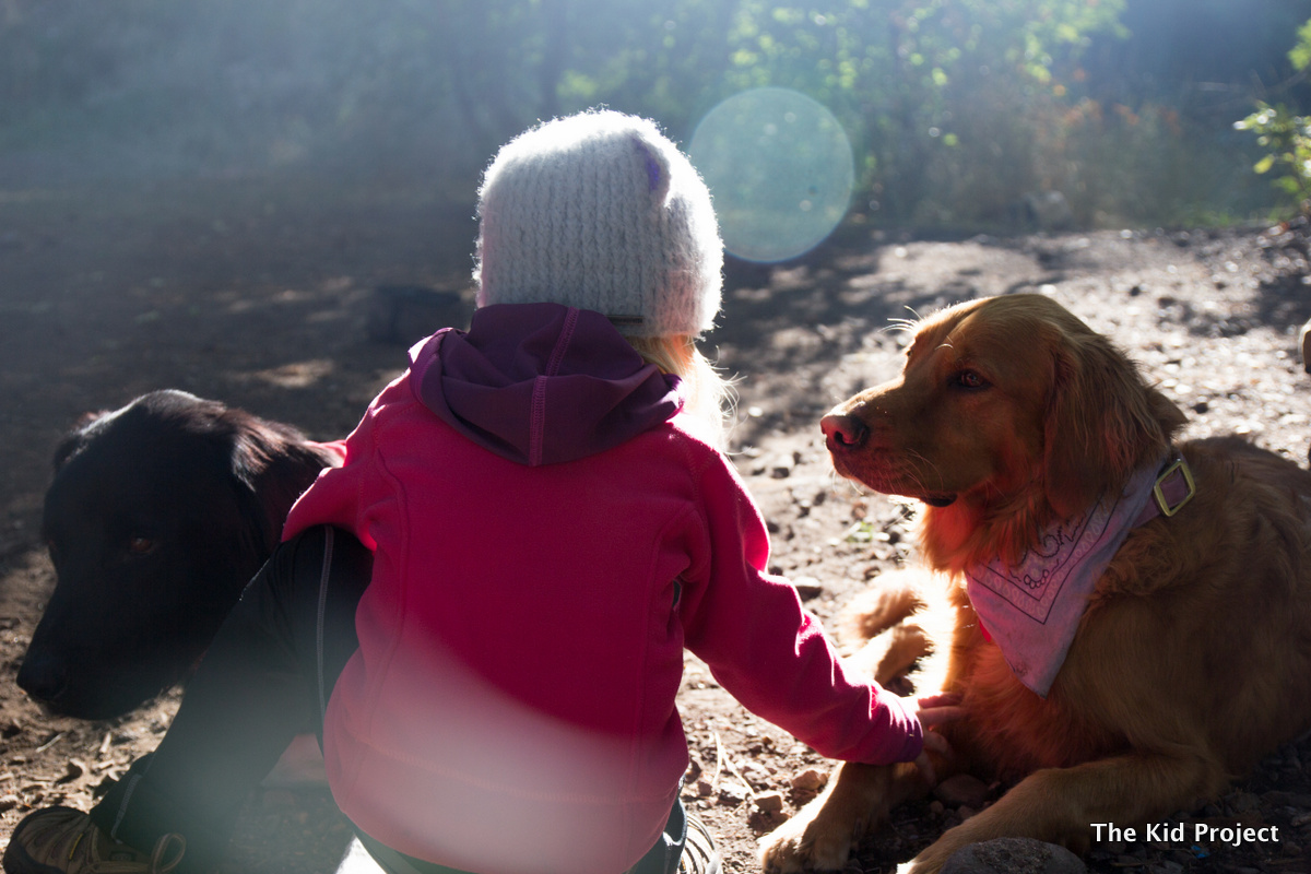 camp life, maple canyon