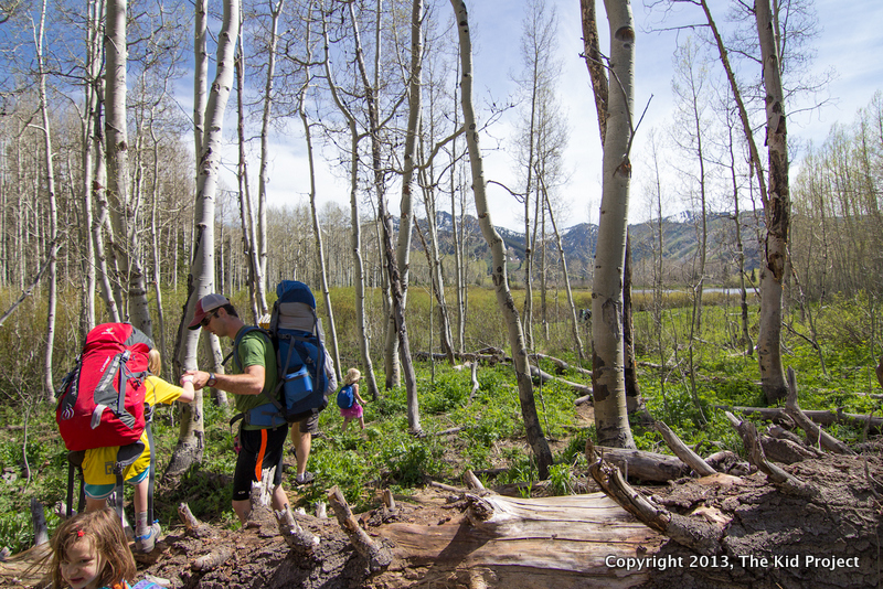 Crossing Logs on hike around Willow Lake, UT