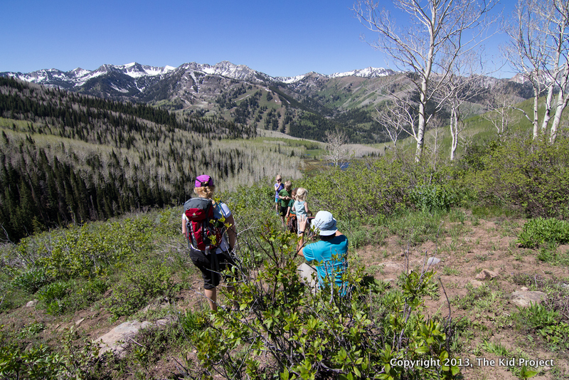 Day Hikes near Willow heights
