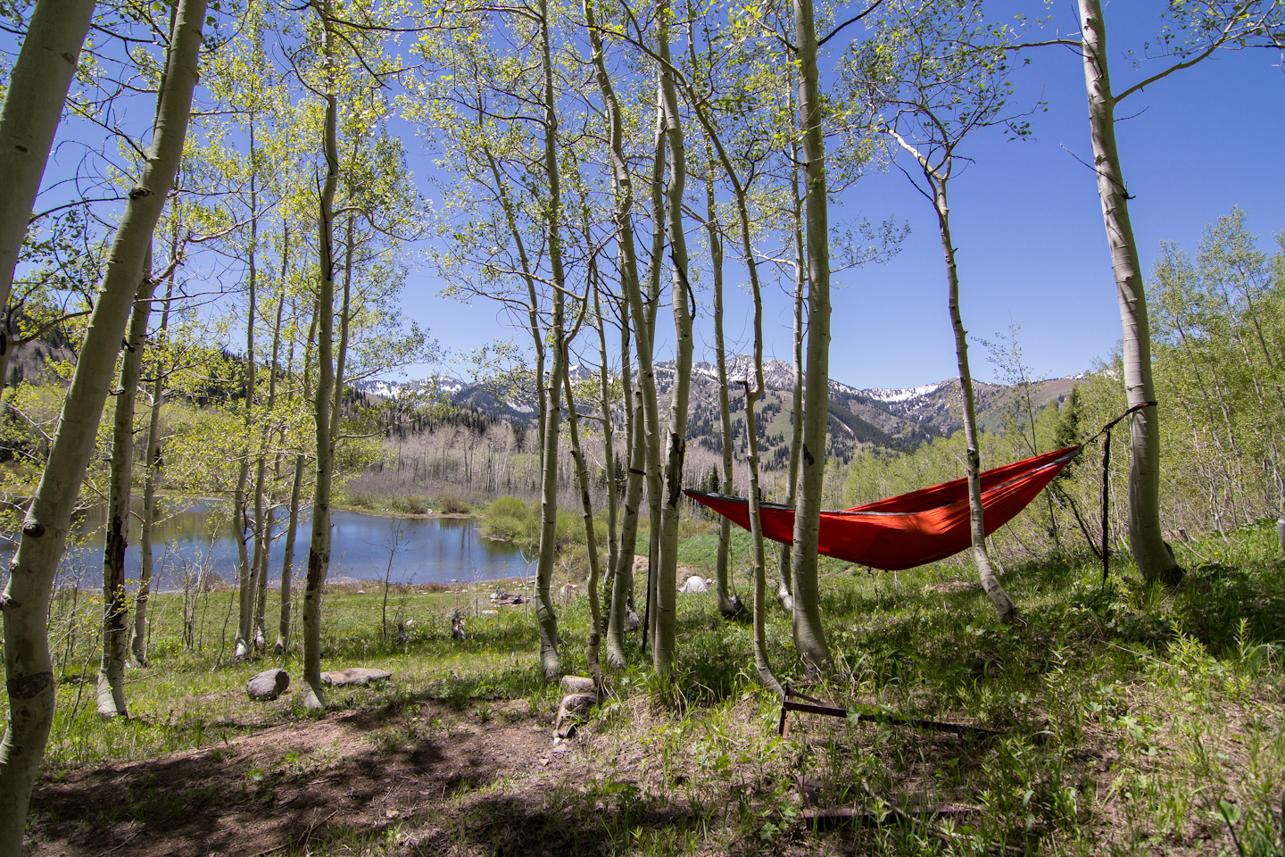Gear review: ENO Double Nest Hammock with ProFly