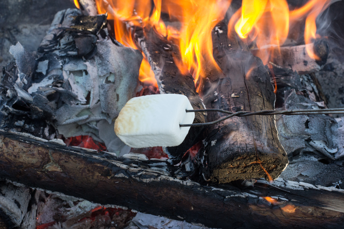 Product Review: Duraflame Campfire Roasting Logs