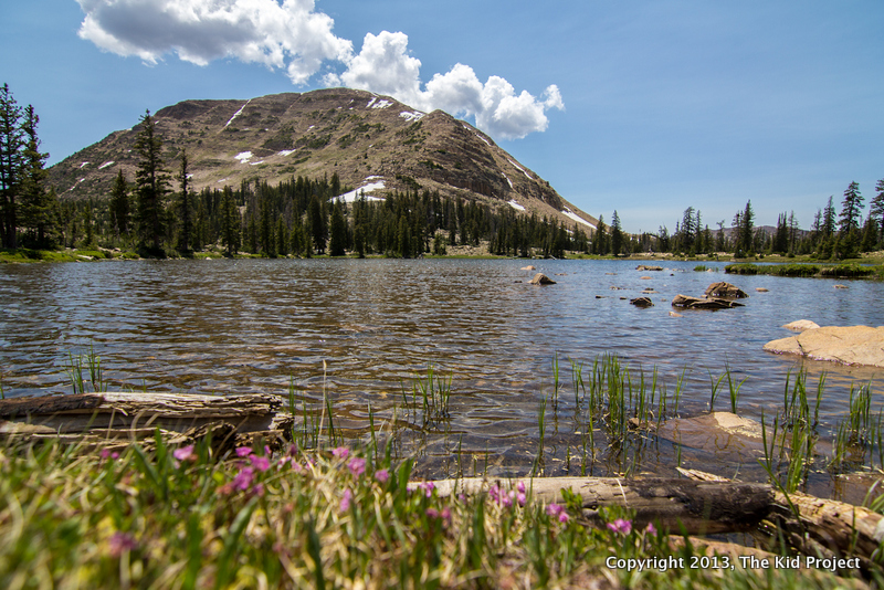 Hidden Lake, and Mount Watson