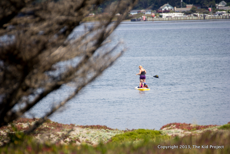 SUP on Hang Ten with kids, bodega harbor