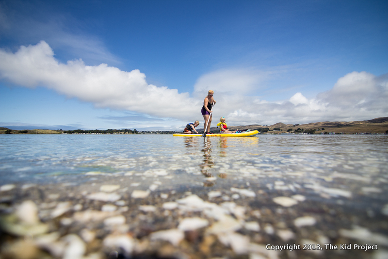 shell reflection off bodega harbor