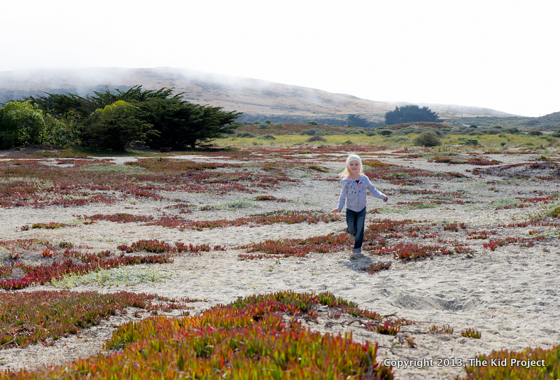 Carring SUP to Bodega Harbor