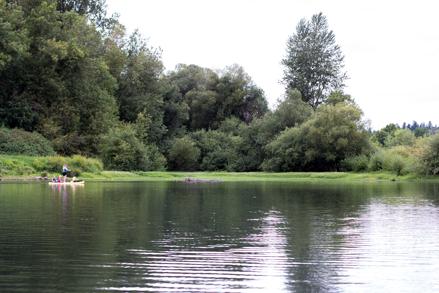 Urban Family Paddling: Willamette River, OR