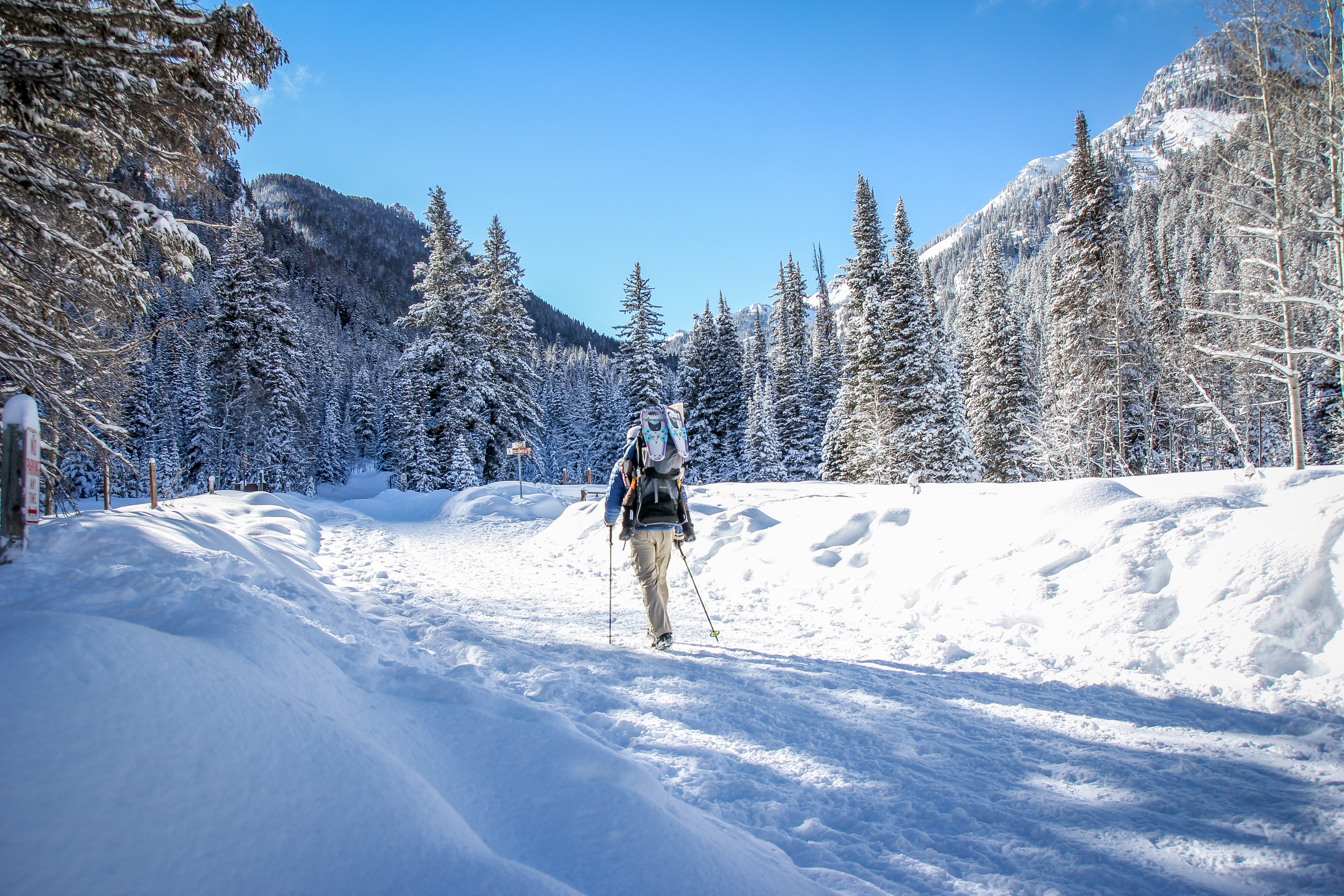 More Family Friendly Snowshoe Trails [Salt Lake City, UT]