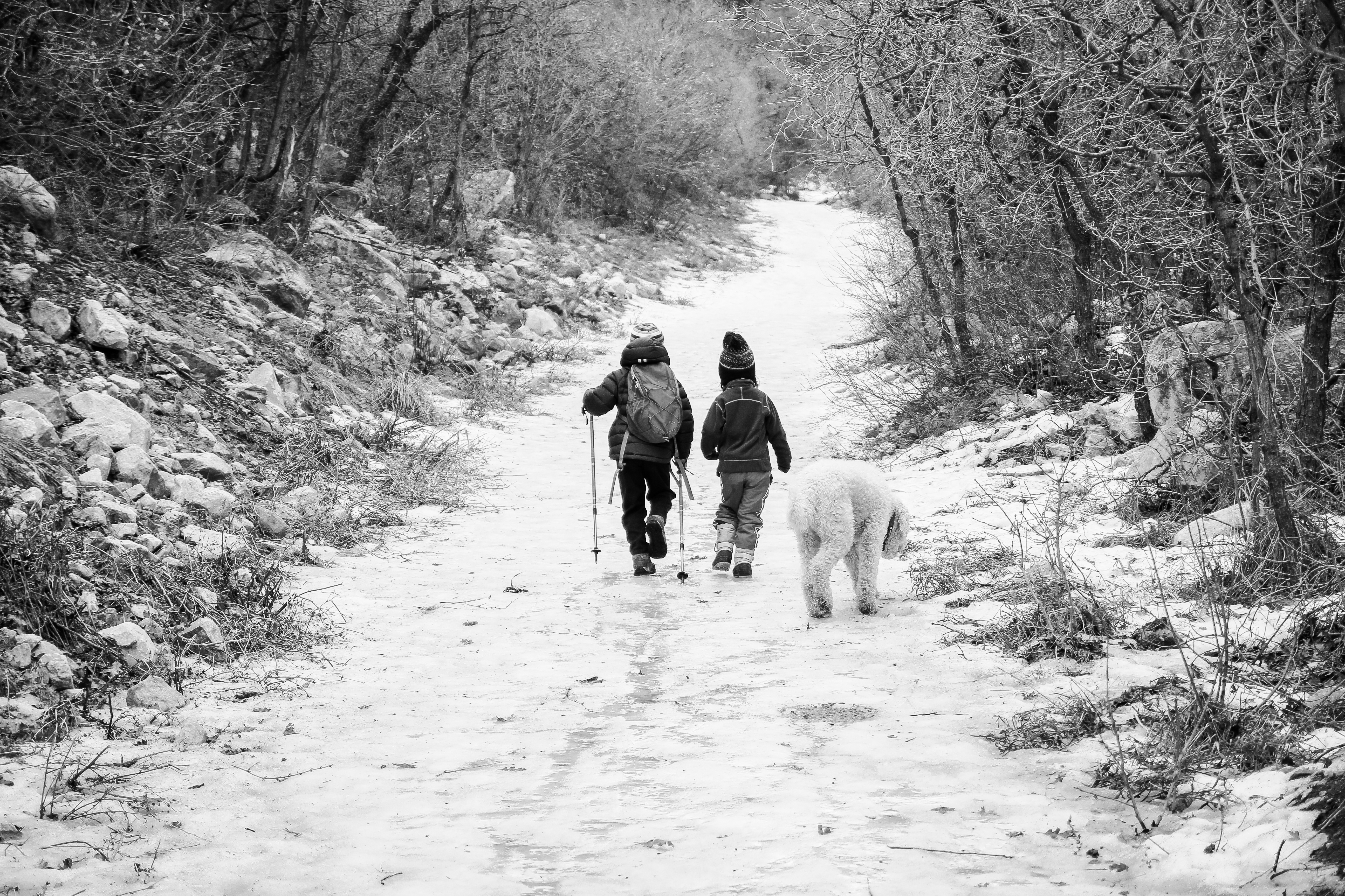 Gear Review: Kid's Trekking Poles by Outdoor Products