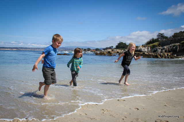 Playing in ocean near Monterey, CA