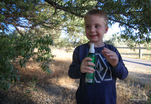 kid friendly and pet friendly bug spray - mercola