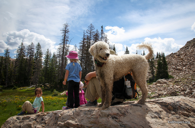 Hiking in High Uintas