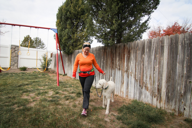 Hand-free running belt for dogs
