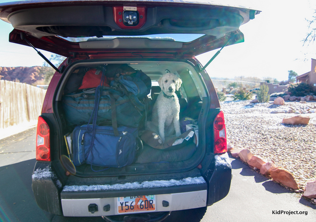 packing and organization