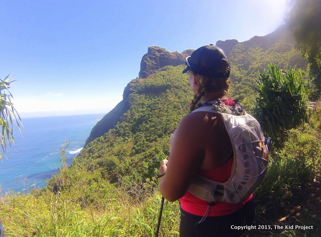 Looking over the NaPali Coast, Kauai