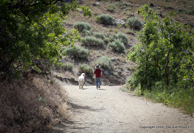Dog friendly hikes, Salt Lake Utah