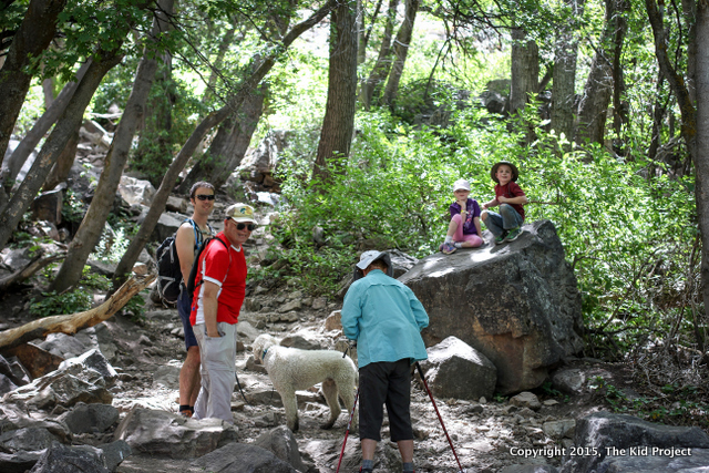 trail in Waterfall Canyon Utah