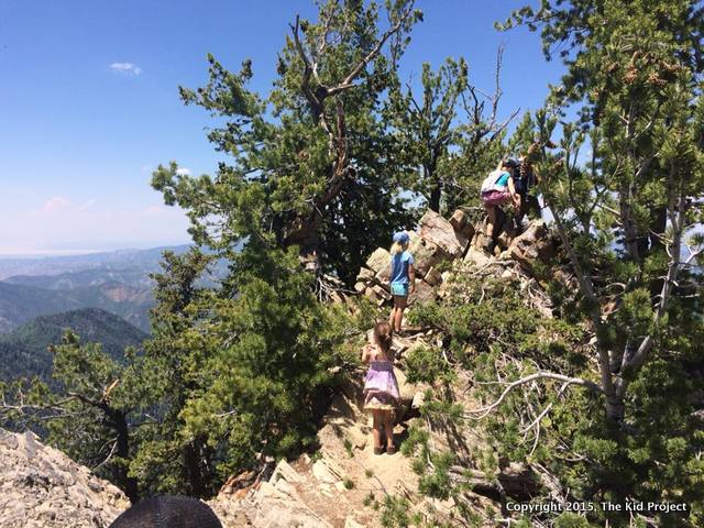 The top of the scrambling, Mount Raymond