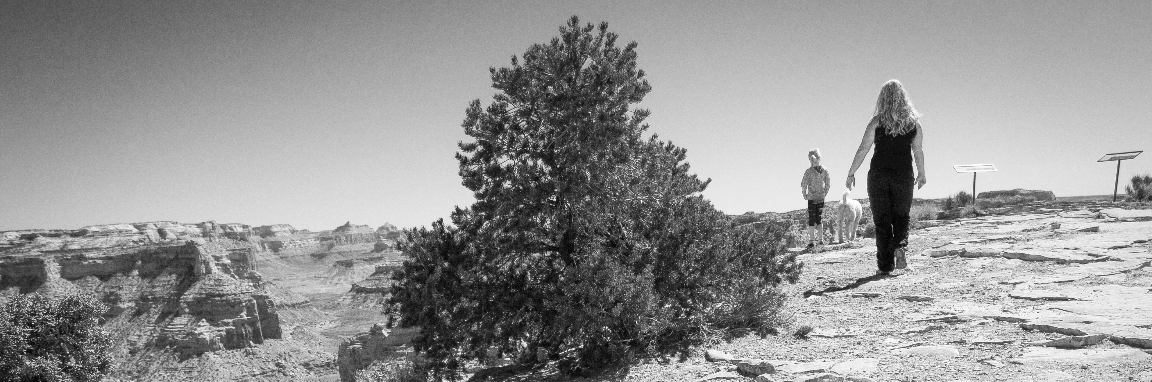 The freedom and pain of being a "weekend warrior"...