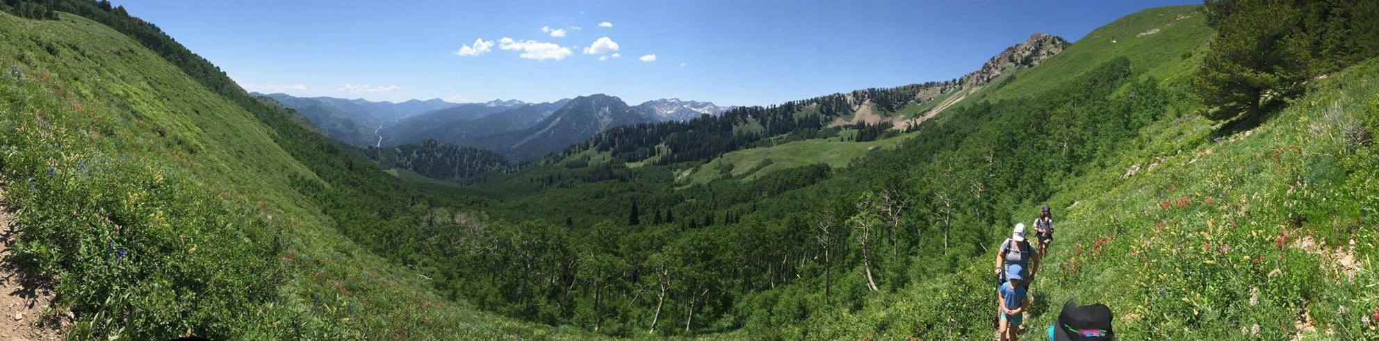 Kid Project Reader's Summer Snapshots: Finding Adventure