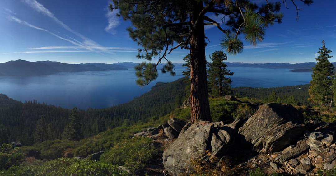 Give this gift to your family this summer: