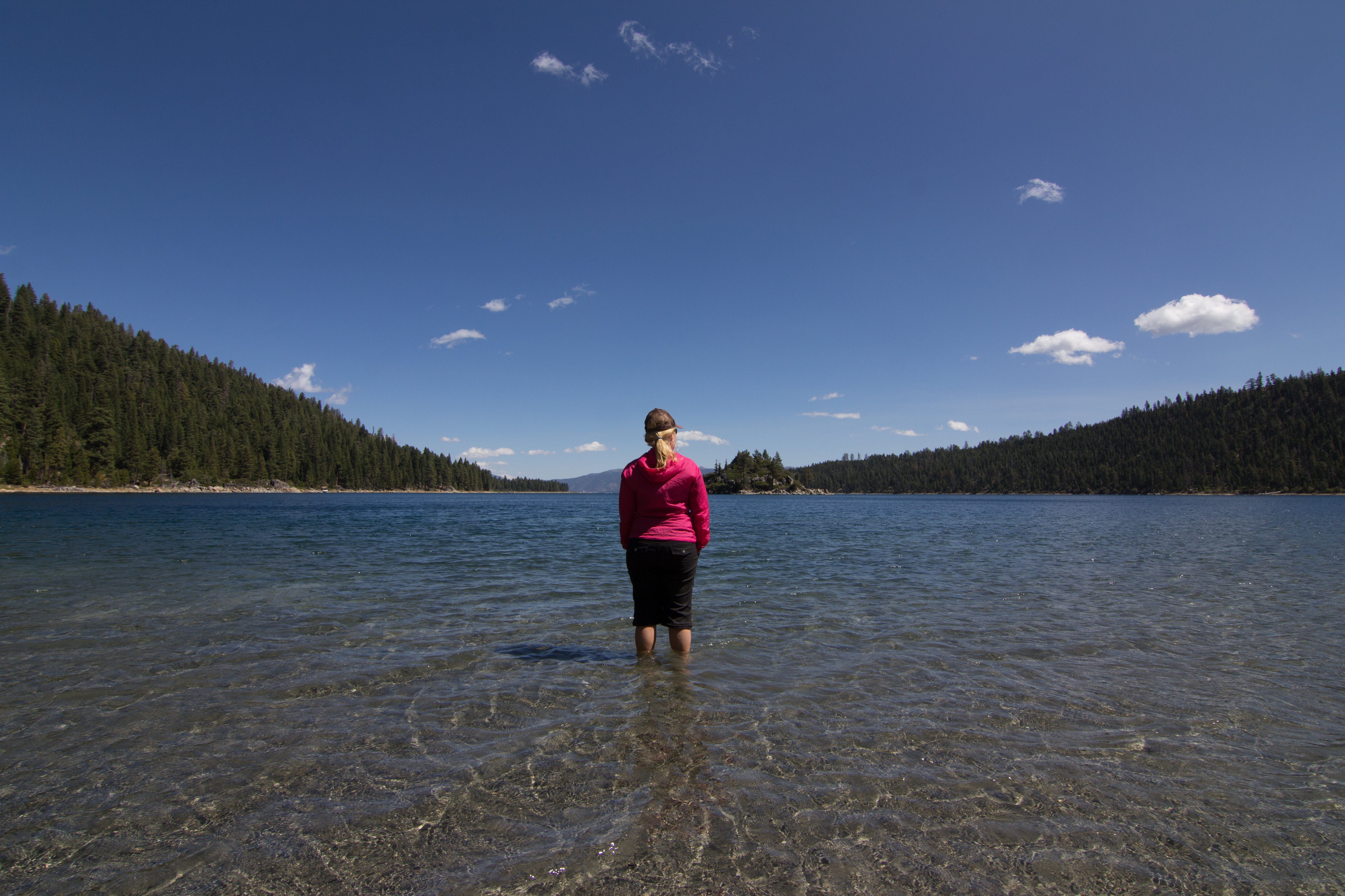 For the Linguist: My word for 2016