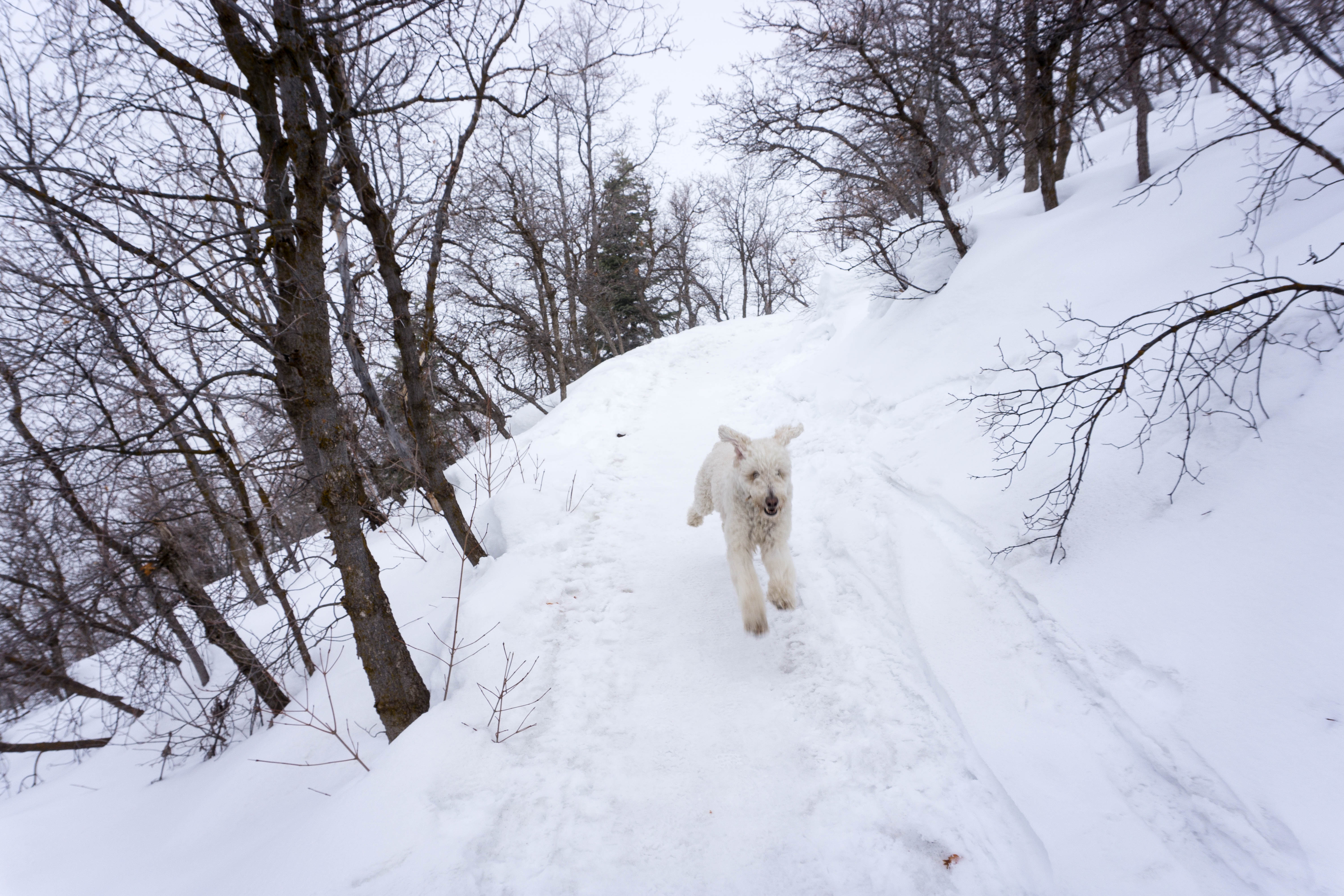When moving is a part of your life journey: