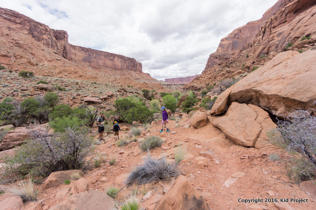 The lower part of the Syncline Loop, canyonlands
