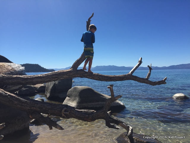 Playing at Chimney beach for families and dogs