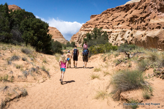 Cohab Canyon Trail, Capitol Reef 