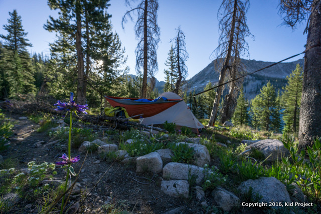 Toxaway lake backpacking