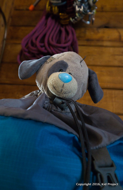 kids stuffed dog in backpack