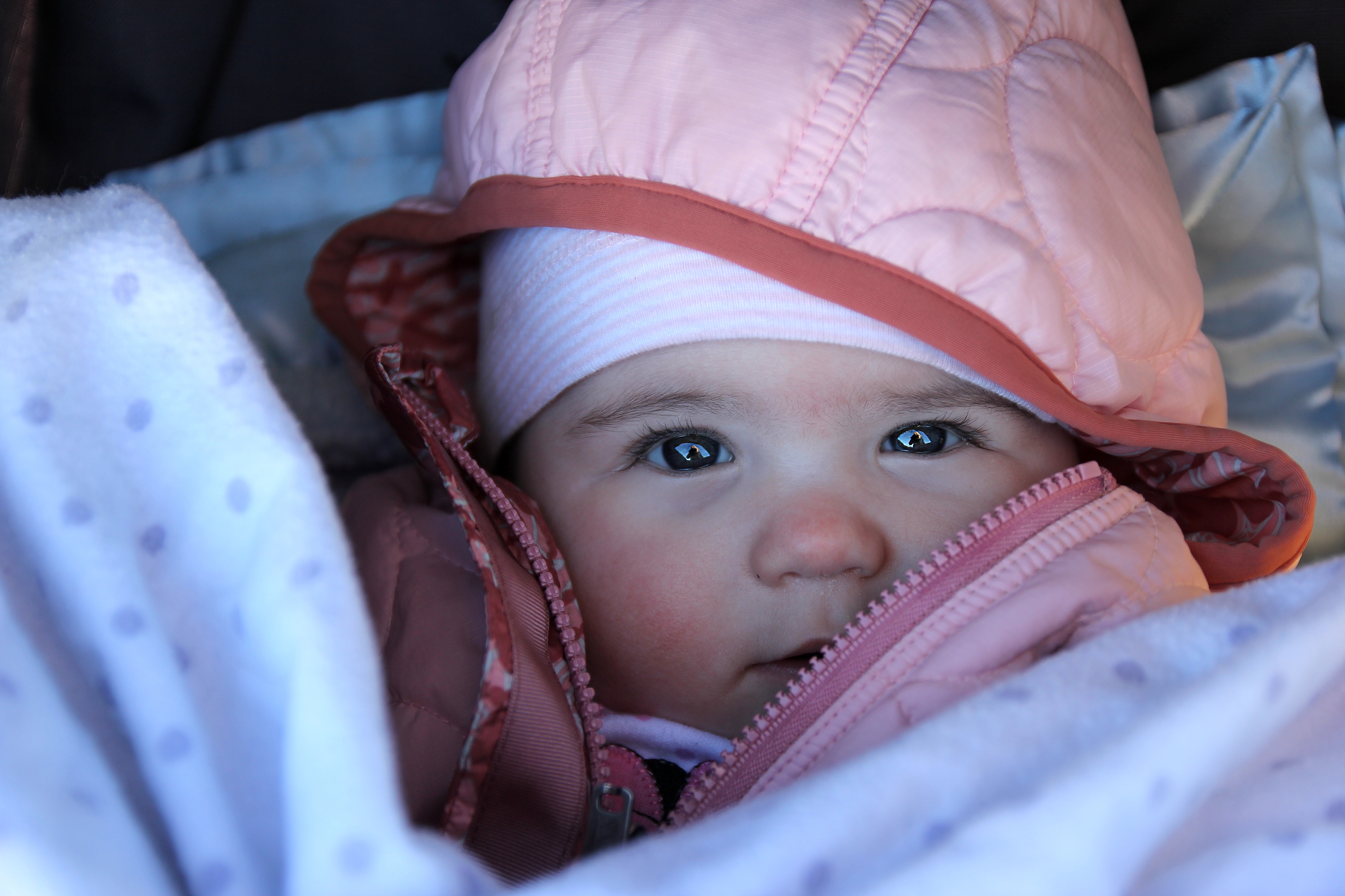 Keeping Baby Safe in the Outdoors