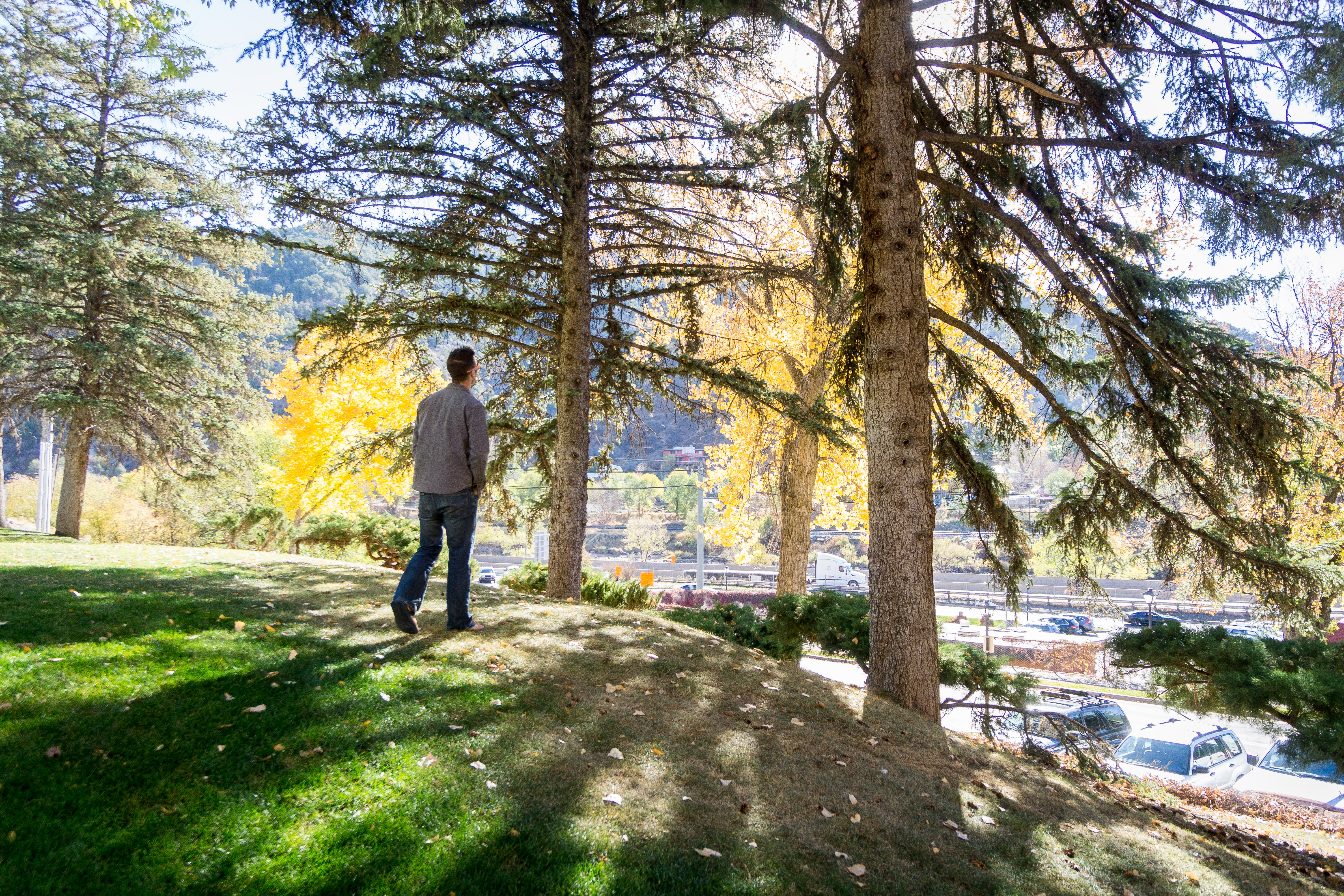 Dear Parent, Do you feel like a fraud?