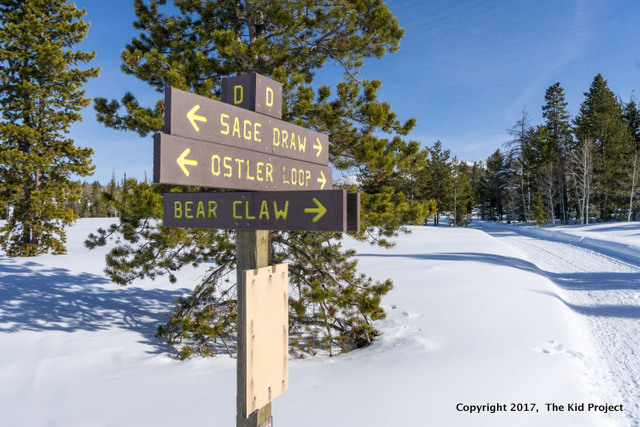 Lily Lake yurt and nordic ski systems