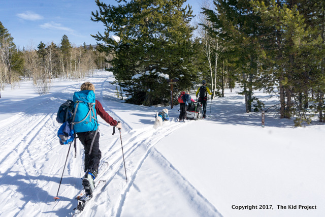ski touring with kids