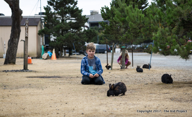 Webb County campground pacific city