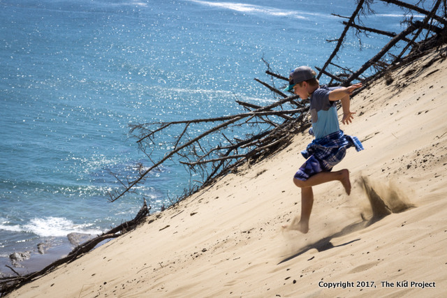 sand dunes, pacific city
